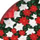 Gift Wrap Evergreen Poinsettia