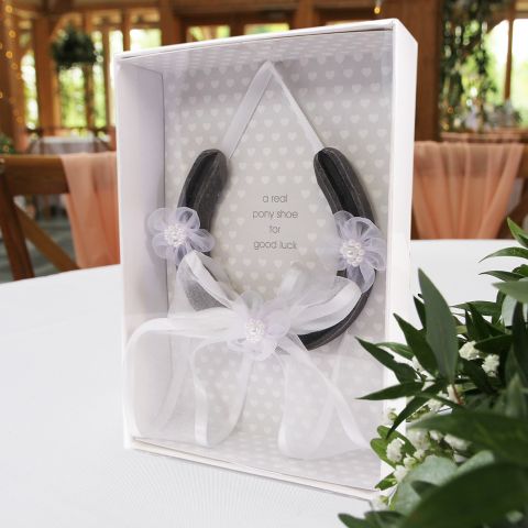 Real Pony Shoe with Sheer Bow