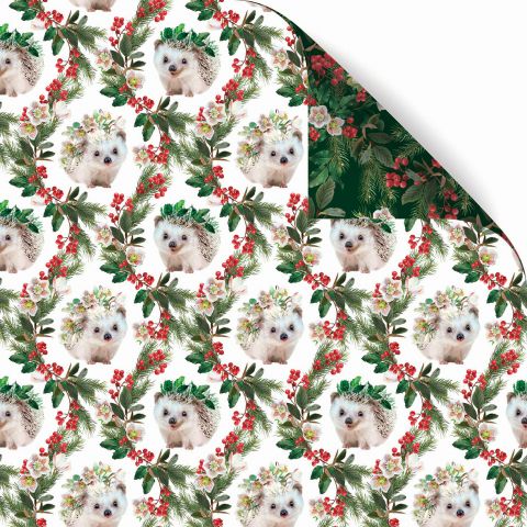 Gift Wrap - Lola Hegehog