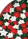 Gift Wrap Evergreen Poinsettia