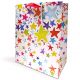 Gift Bag Large Painted Stars