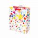 Gift Bag Large Painted Stars