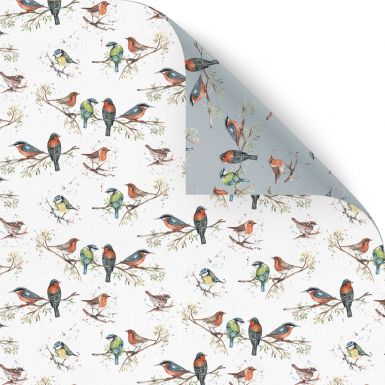 Gift Wrap Meg Hawkins Birds of Britain