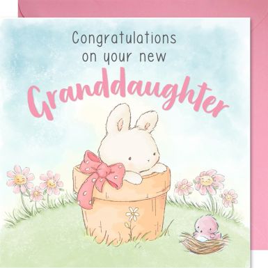 Congratulations on Your New Granddaughter