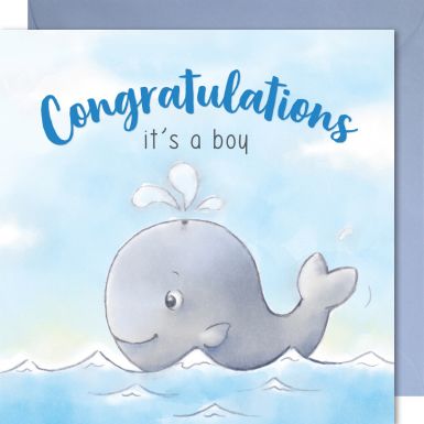 Whale - It's a Boy