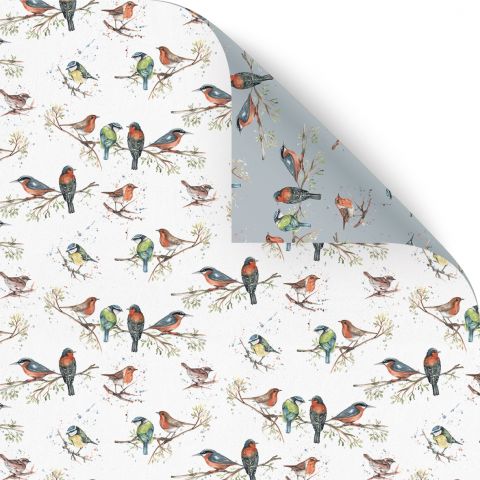 Gift Wrap Meg Hawkins Birds of Britain